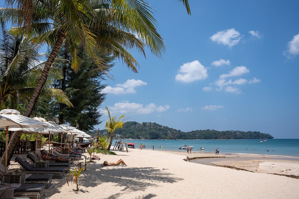 Sunbeds under palm trees on Bang Tao Beach